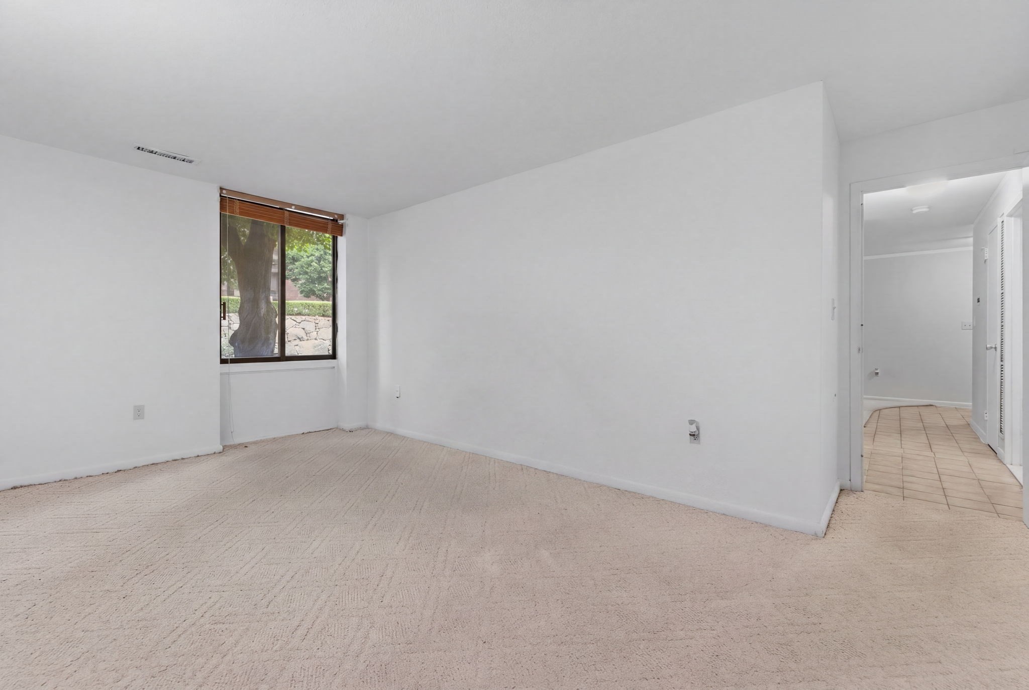 1002 Paradise Rd # 1c Property Photo 15
