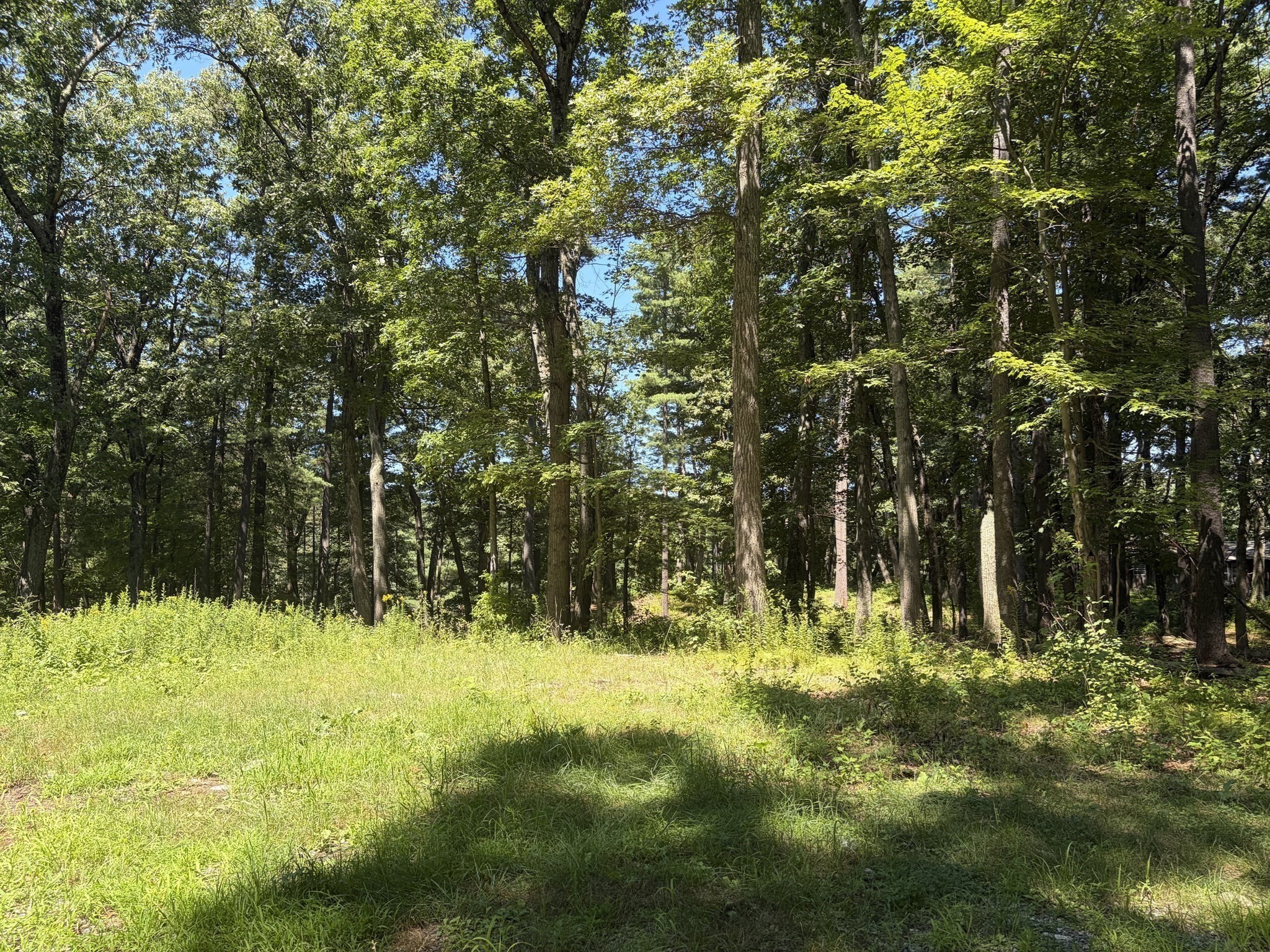 6-a Durkee Ln Property Photo 4