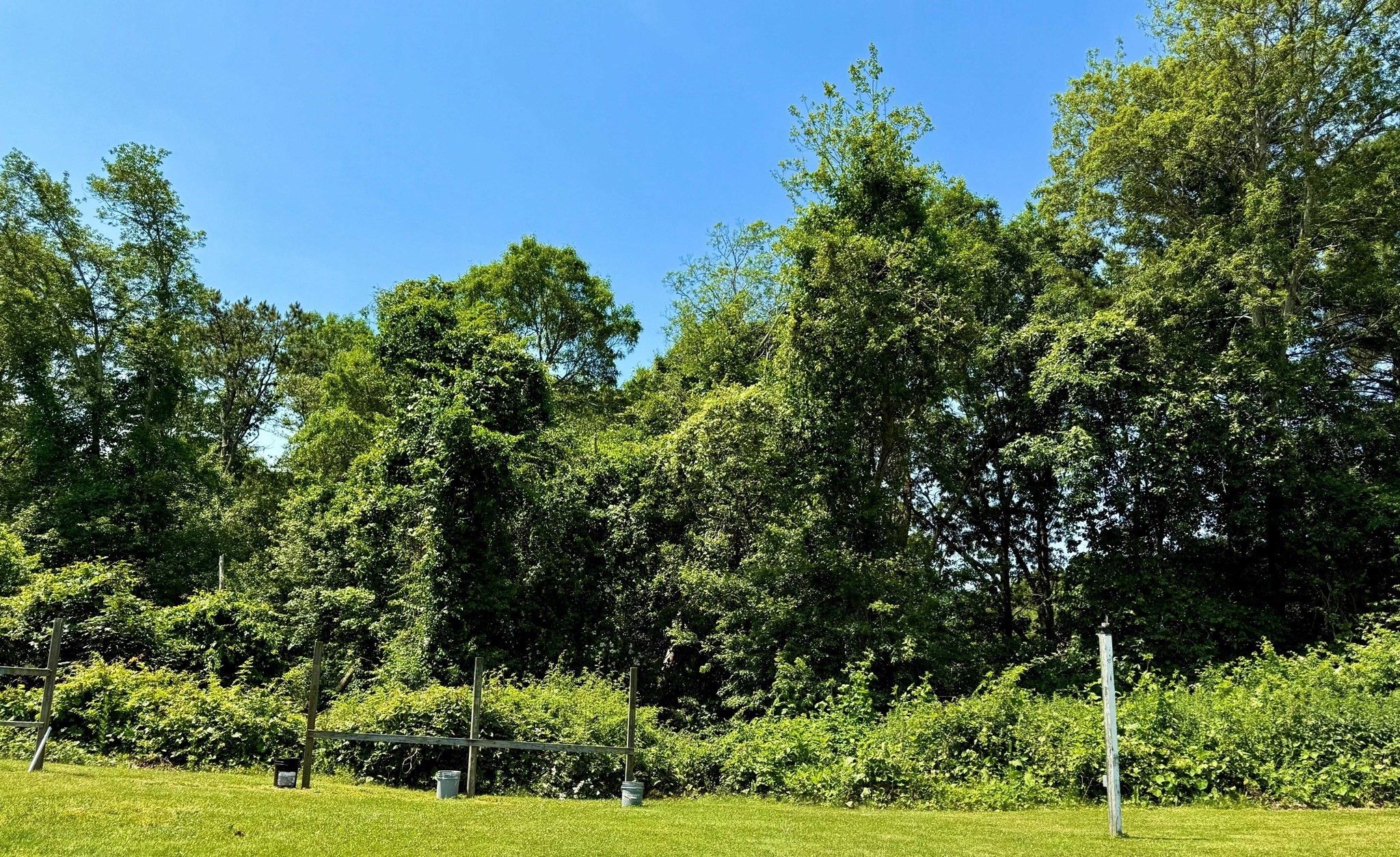 0 (lot 28) Sandwich Property Photo 2
