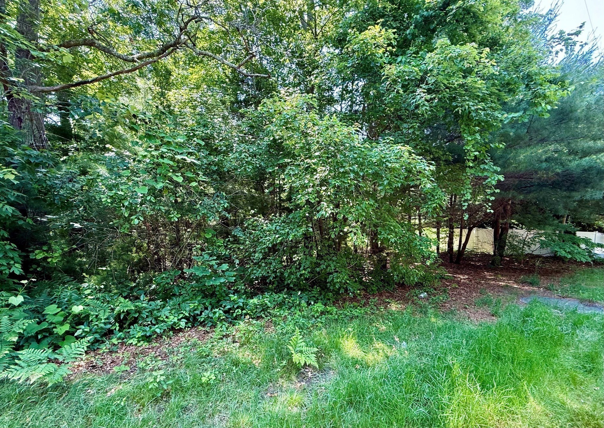0 (lot 28) Sandwich Property Photo 3