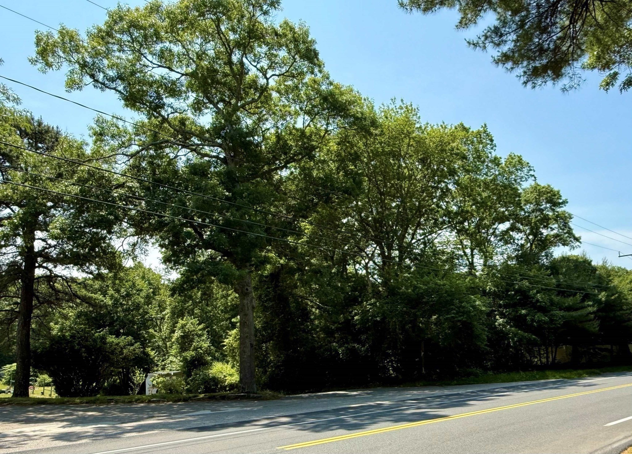0 (lot 28) Sandwich Property Photo 4