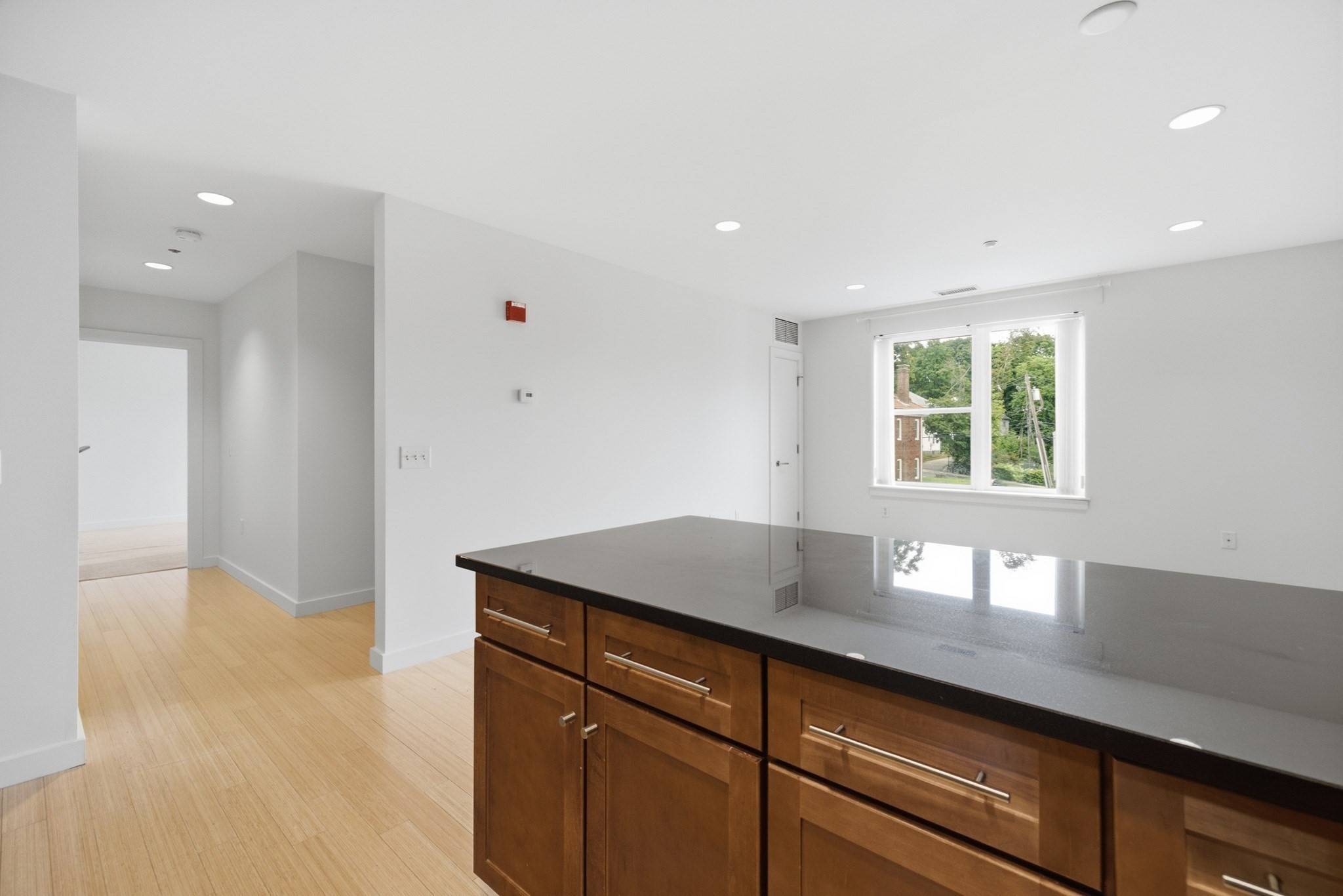 99 Chestnut Hill Ave # 307 Property Photo 12