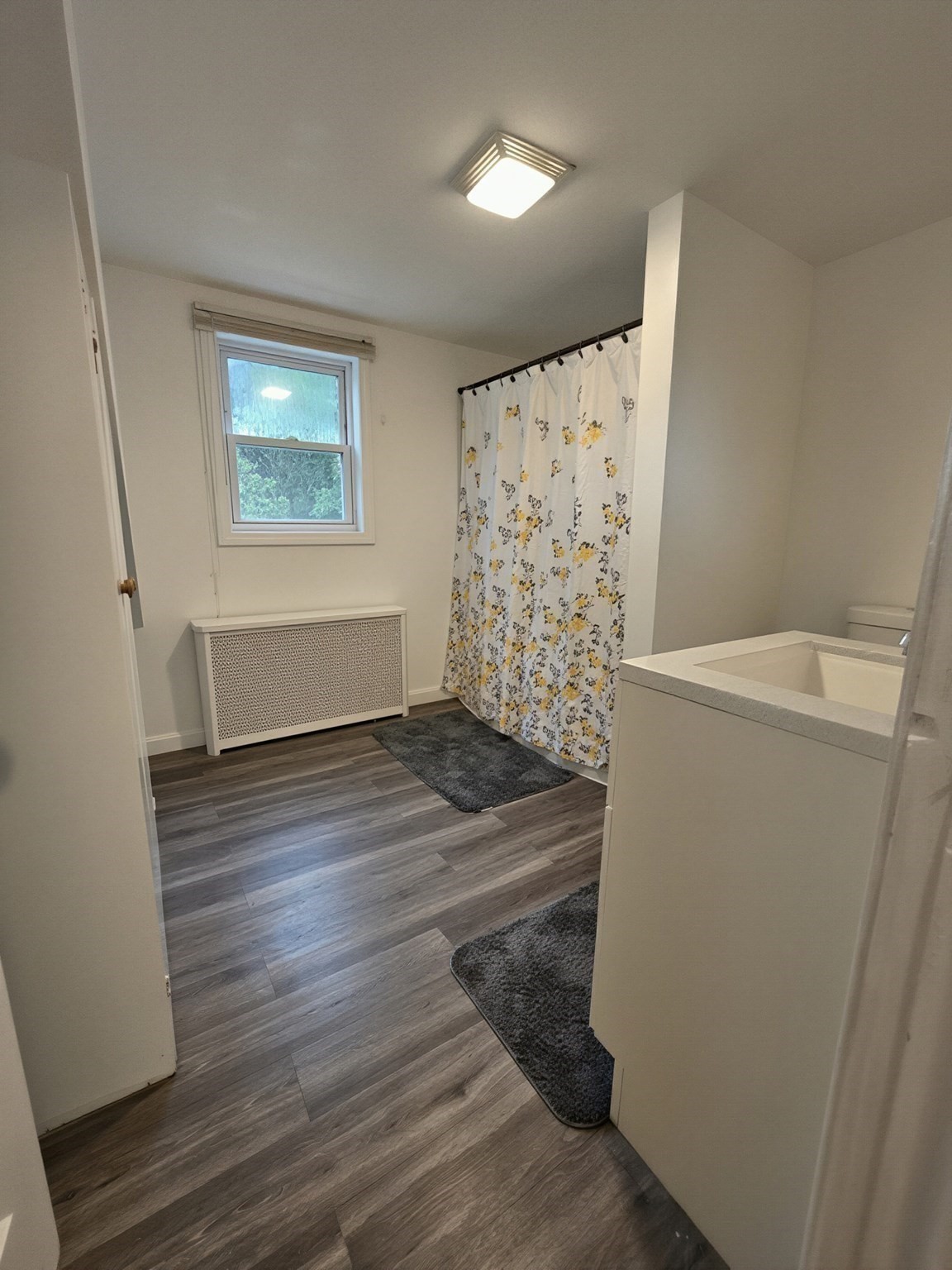15 Dinsmore Street Property Photo 16