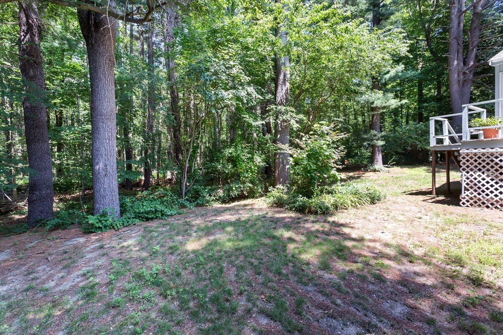 170 David Rd Property Photo 41