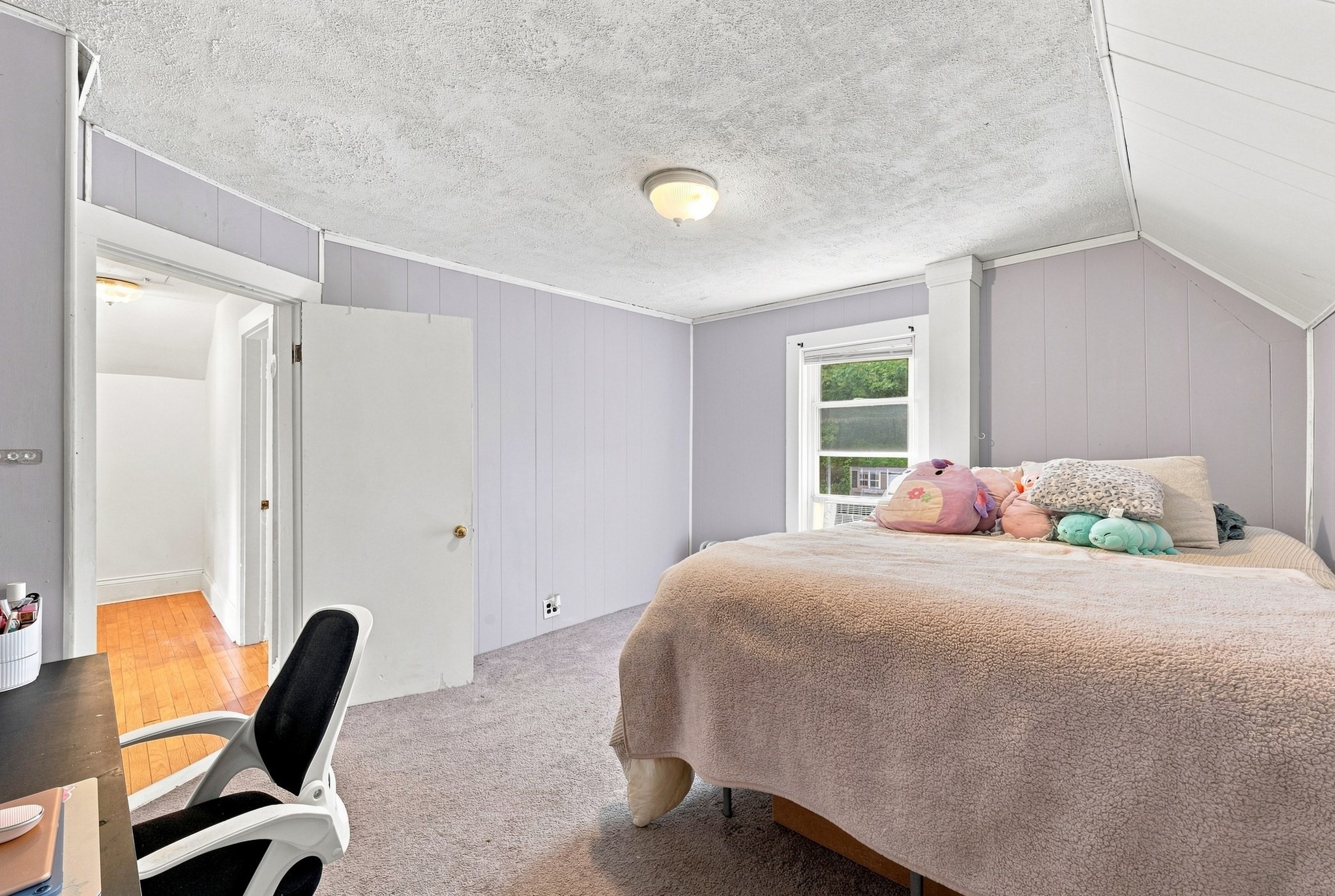 38 Belmont Street Property Photo 19