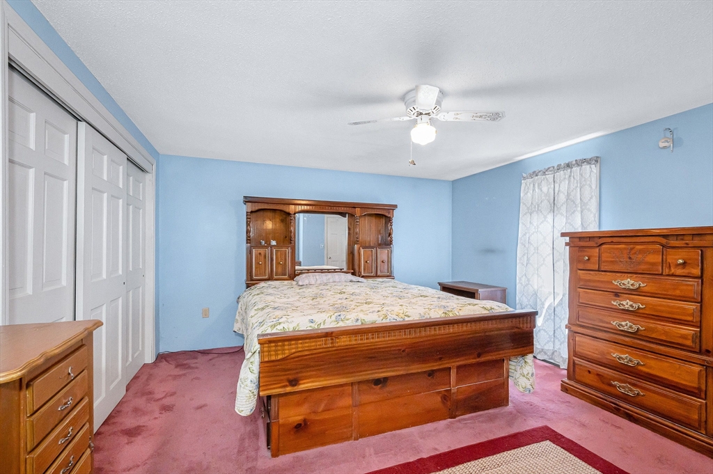 48 Cannington St Property Photo 27