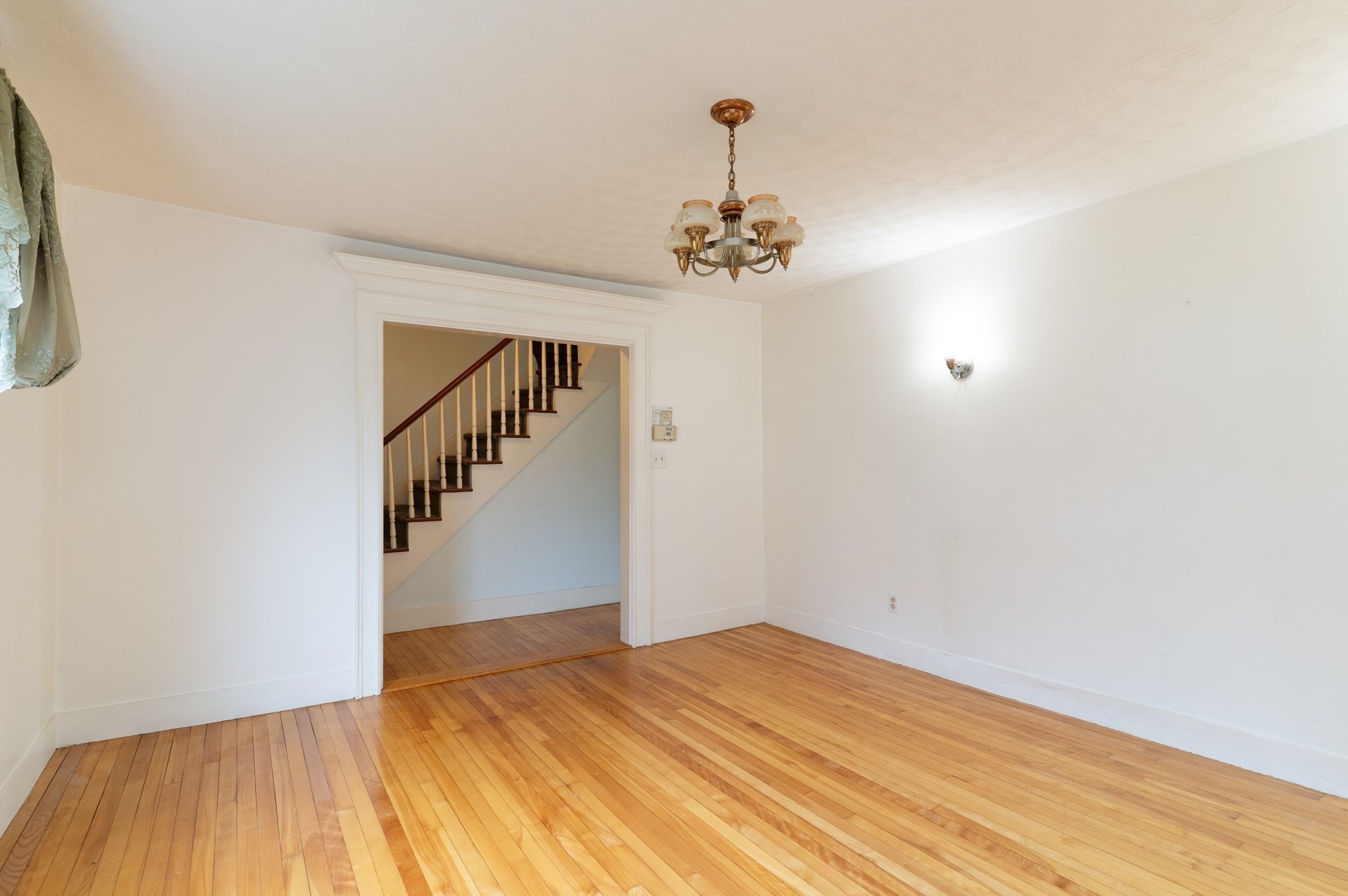 6 Maynard St Property Photo 21