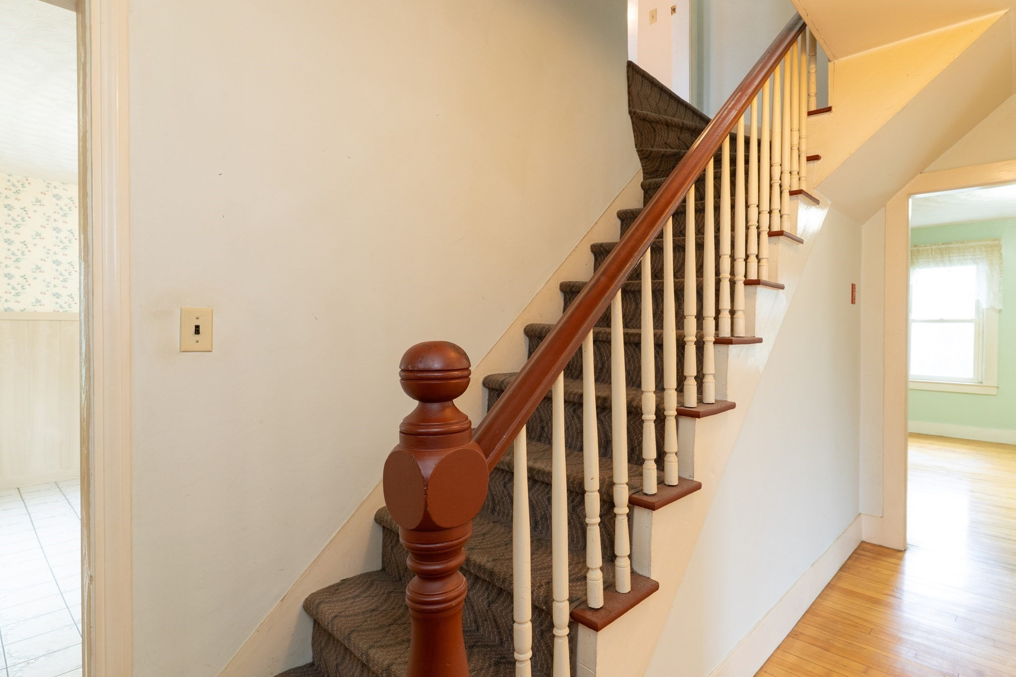 6 Maynard St Property Photo 22