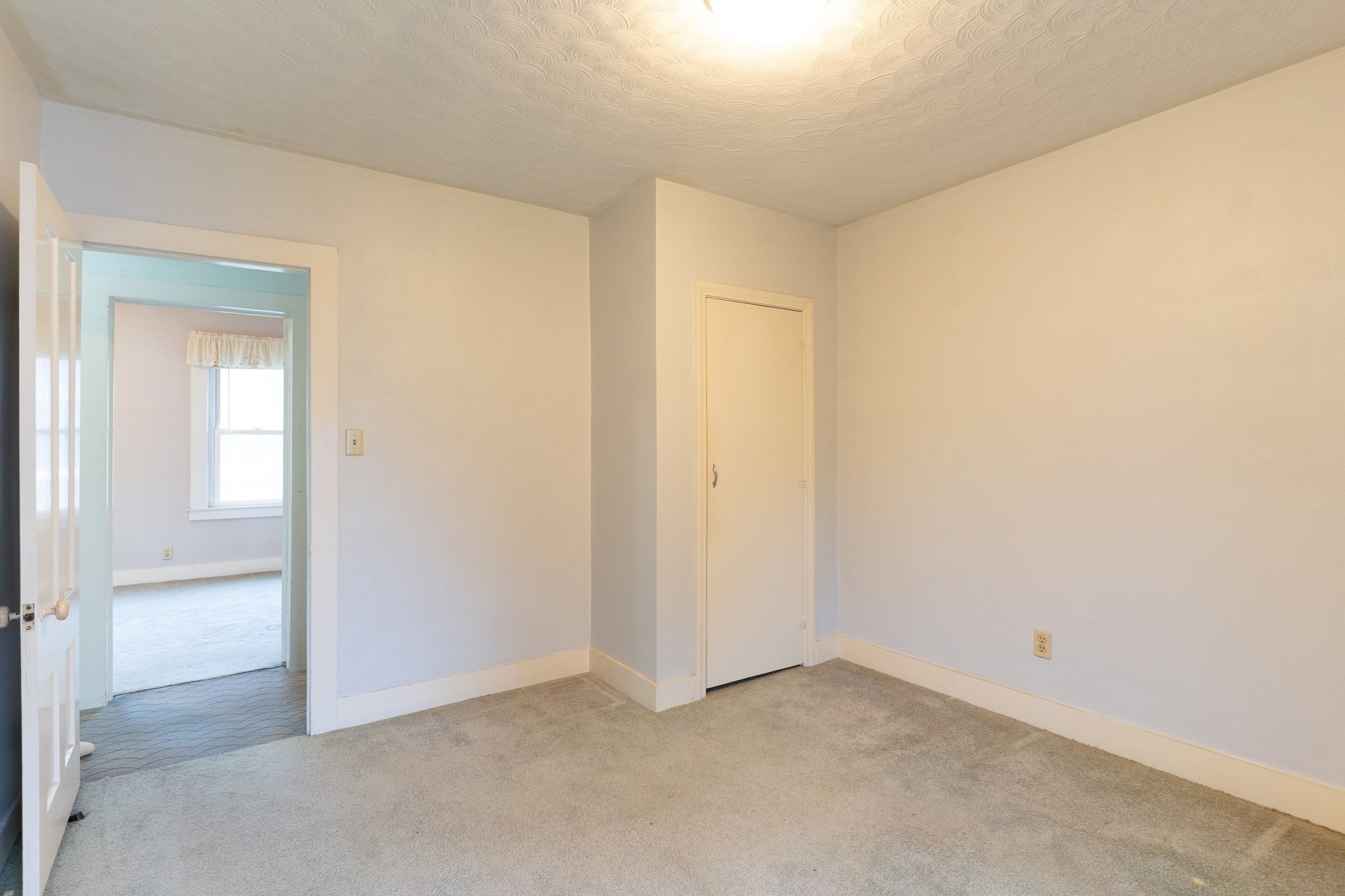 6 Maynard St Property Photo 29