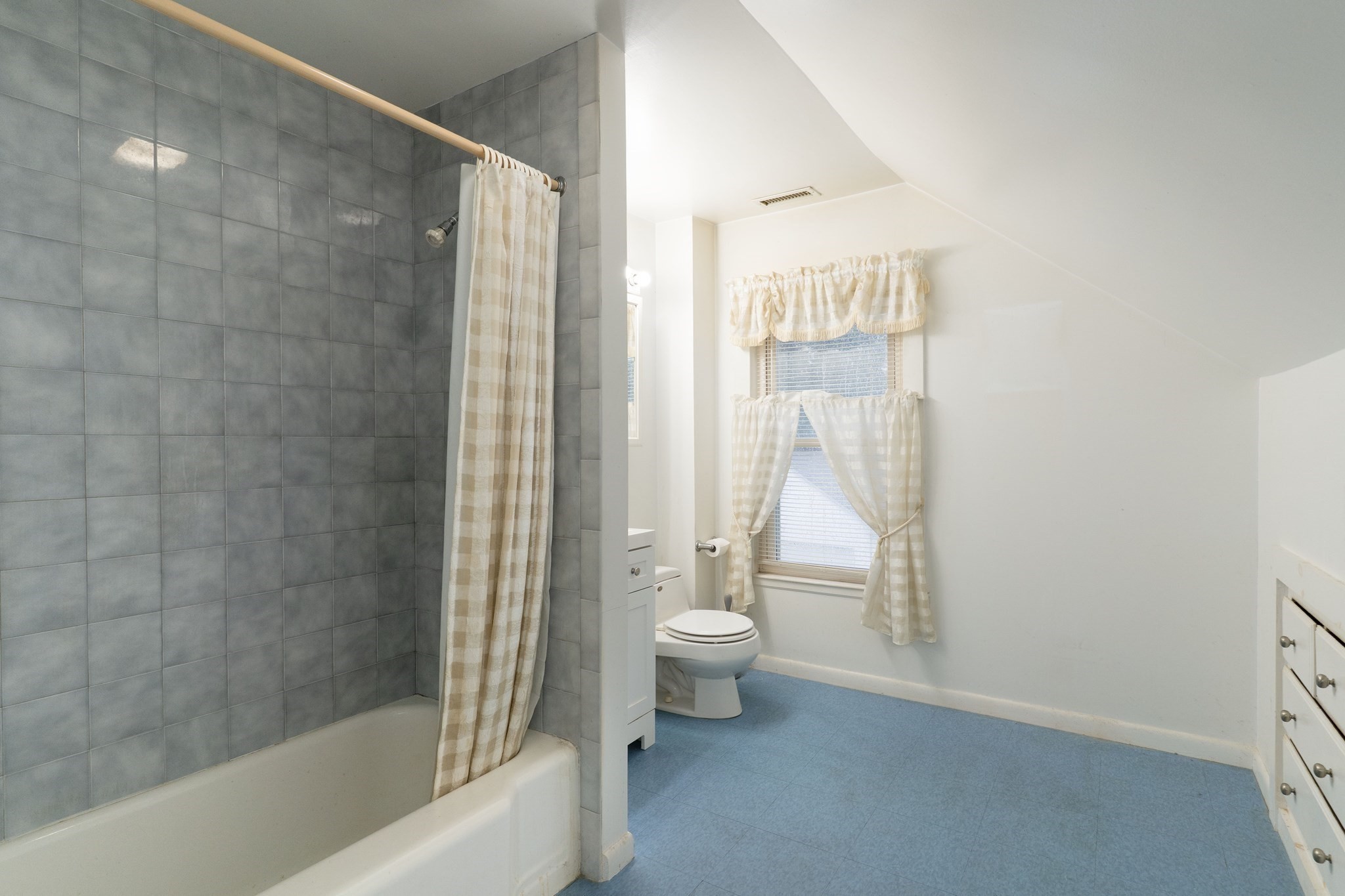 6 Maynard St Property Photo 30