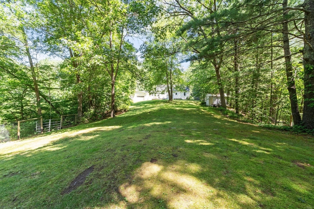 84 Fern Ave. Property Photo 37