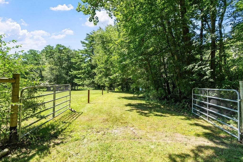 84 Fern Ave. Property Photo 38