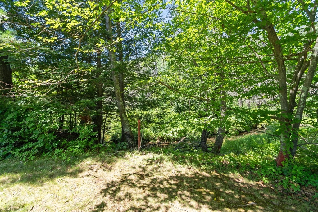 84 Fern Ave. Property Photo 41