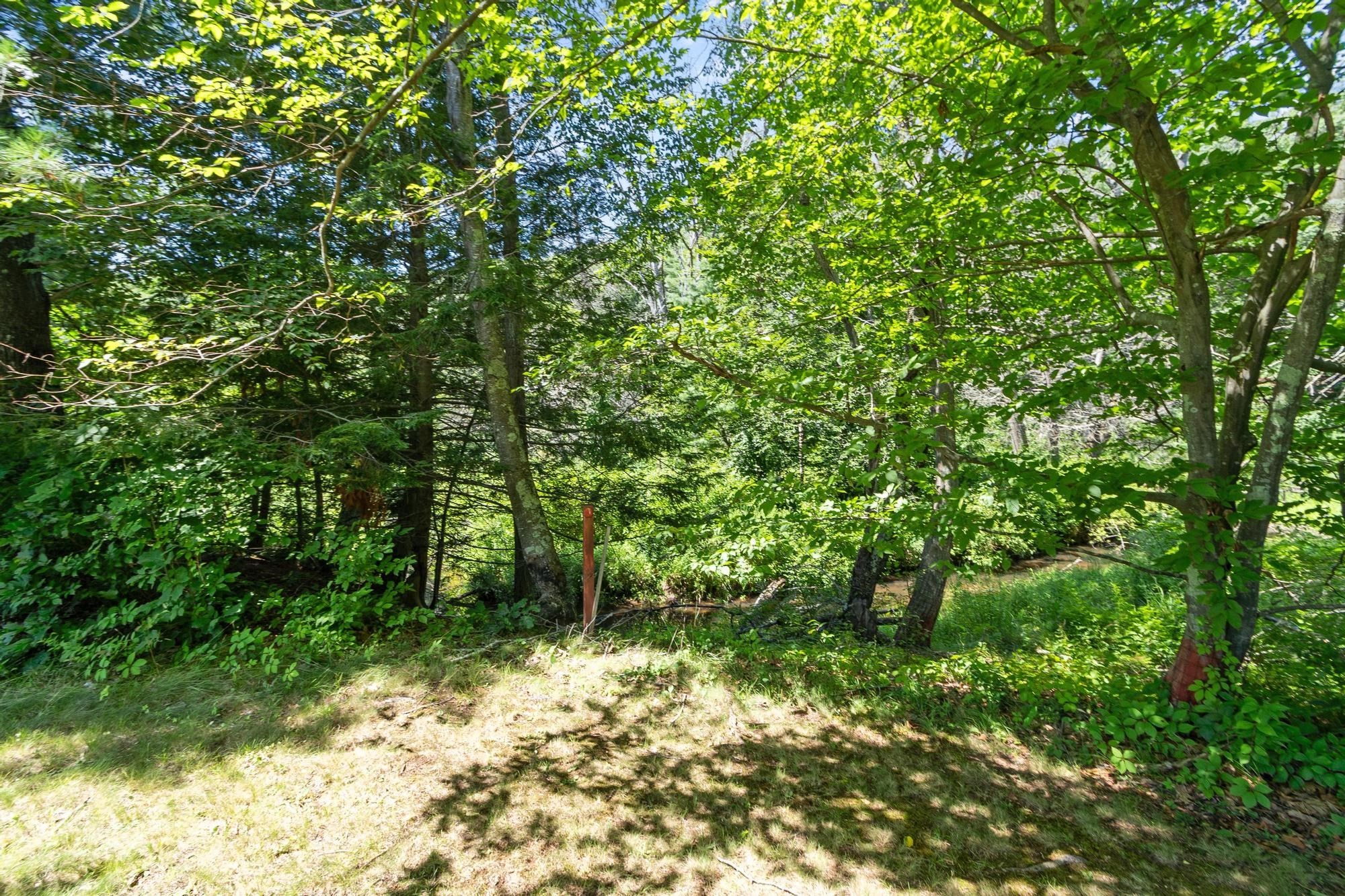 84 Fern Ave. Property Photo 41