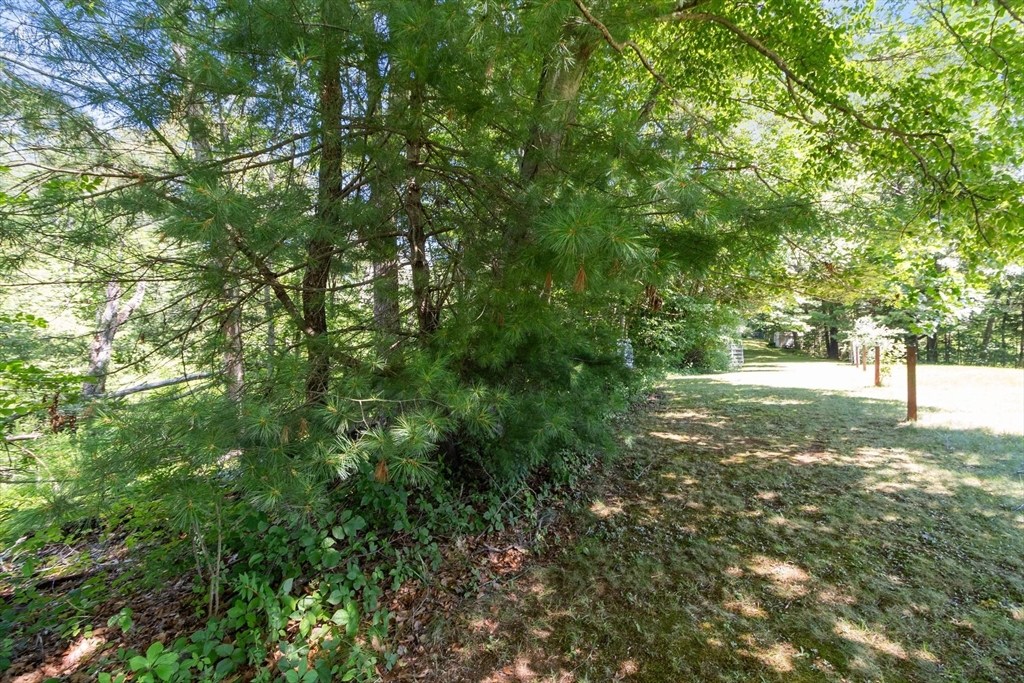 84 Fern Ave. Property Photo 42