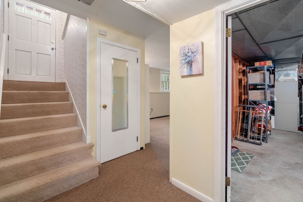 41 Berkeley Rd Property Photo 20