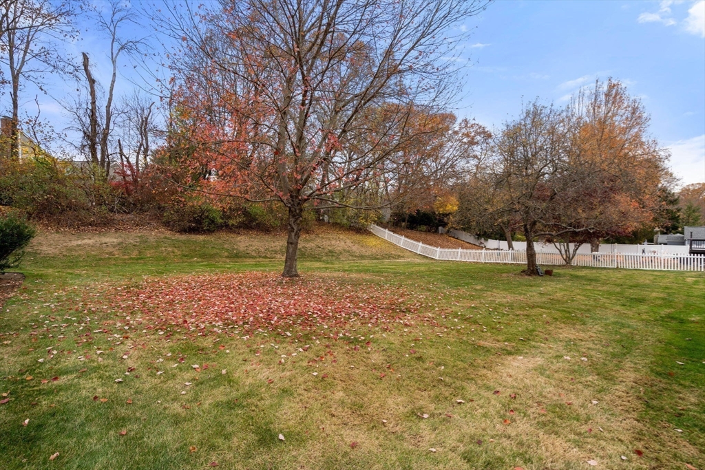 41 Berkeley Rd Property Photo 27