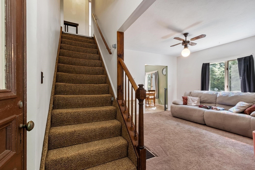 2 Williams Street Property Photo 3