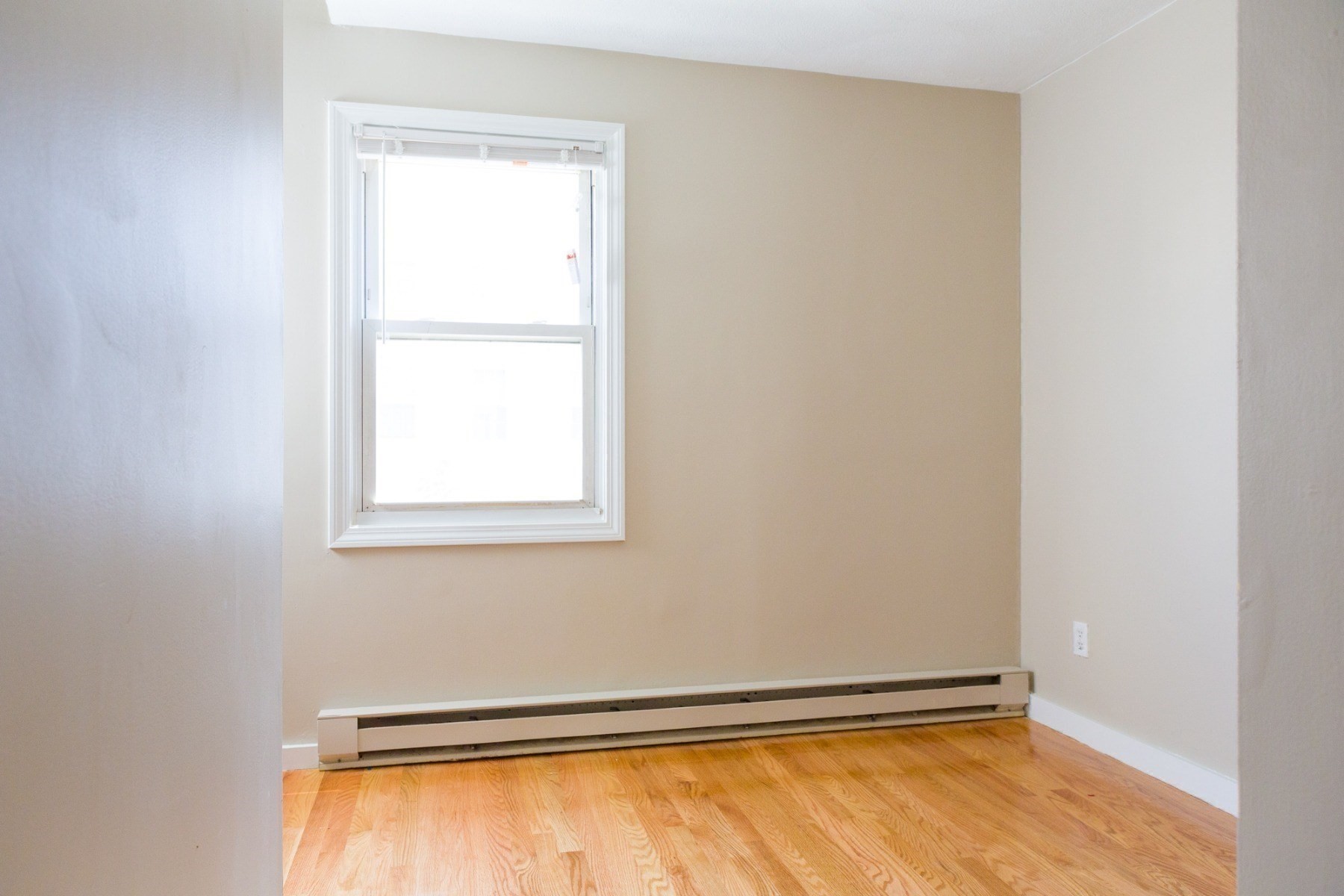 41 Marion St Property Photo 15