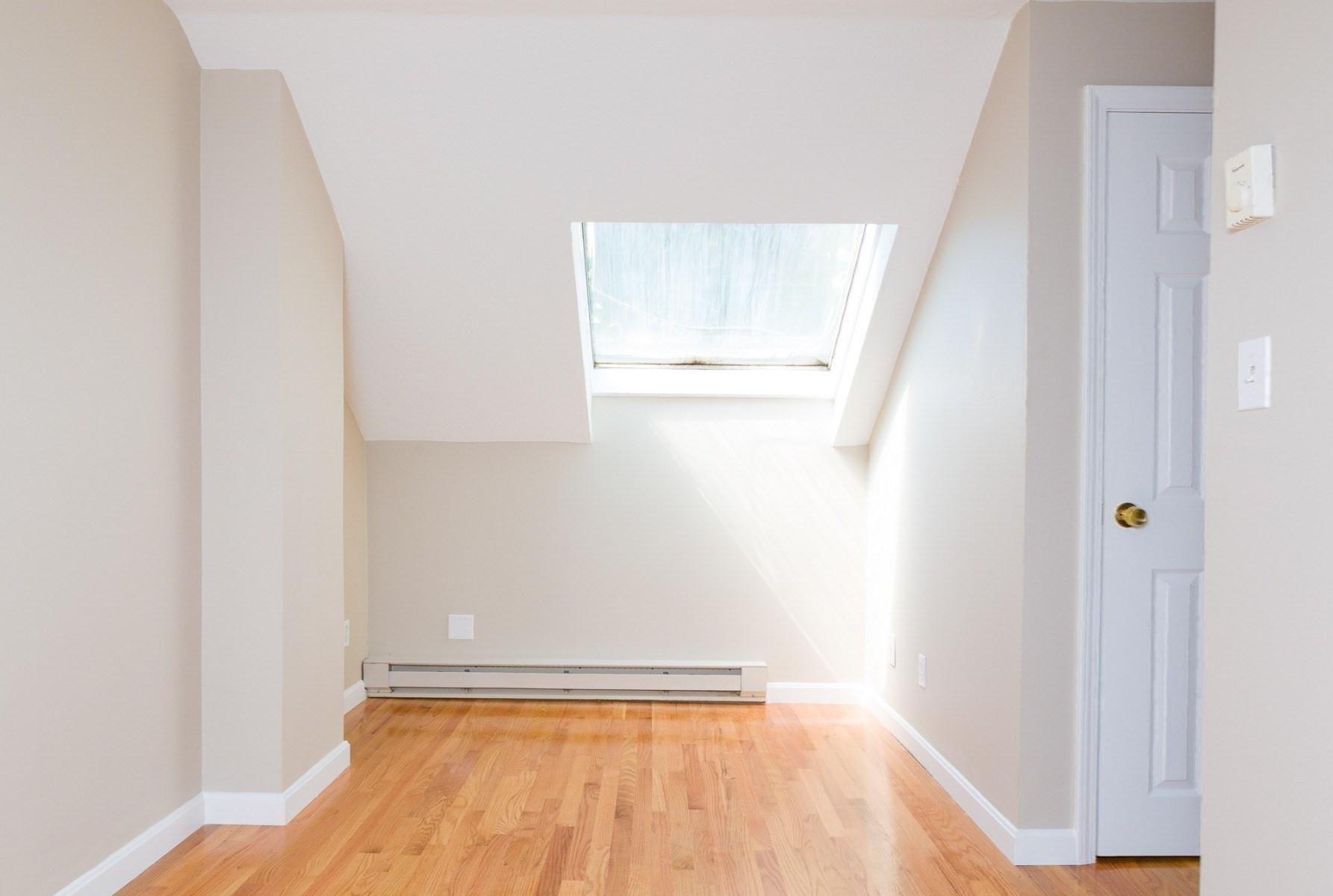 41 Marion St Property Photo 16
