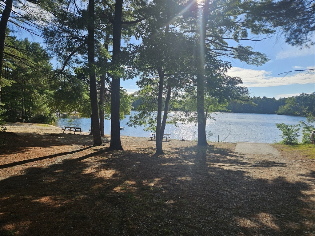 11 Cardinal Ave Property Photo 26