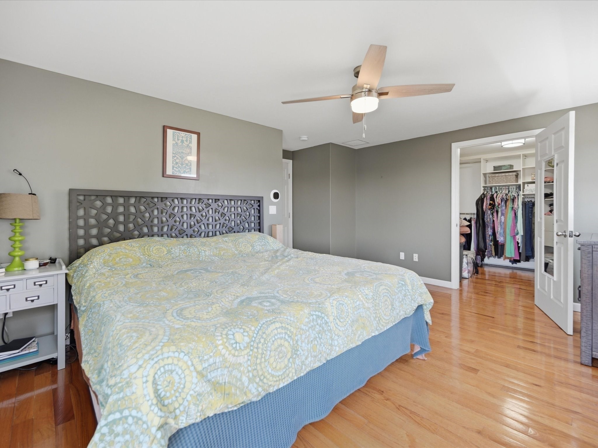 53 Osborne Street Property Photo 28