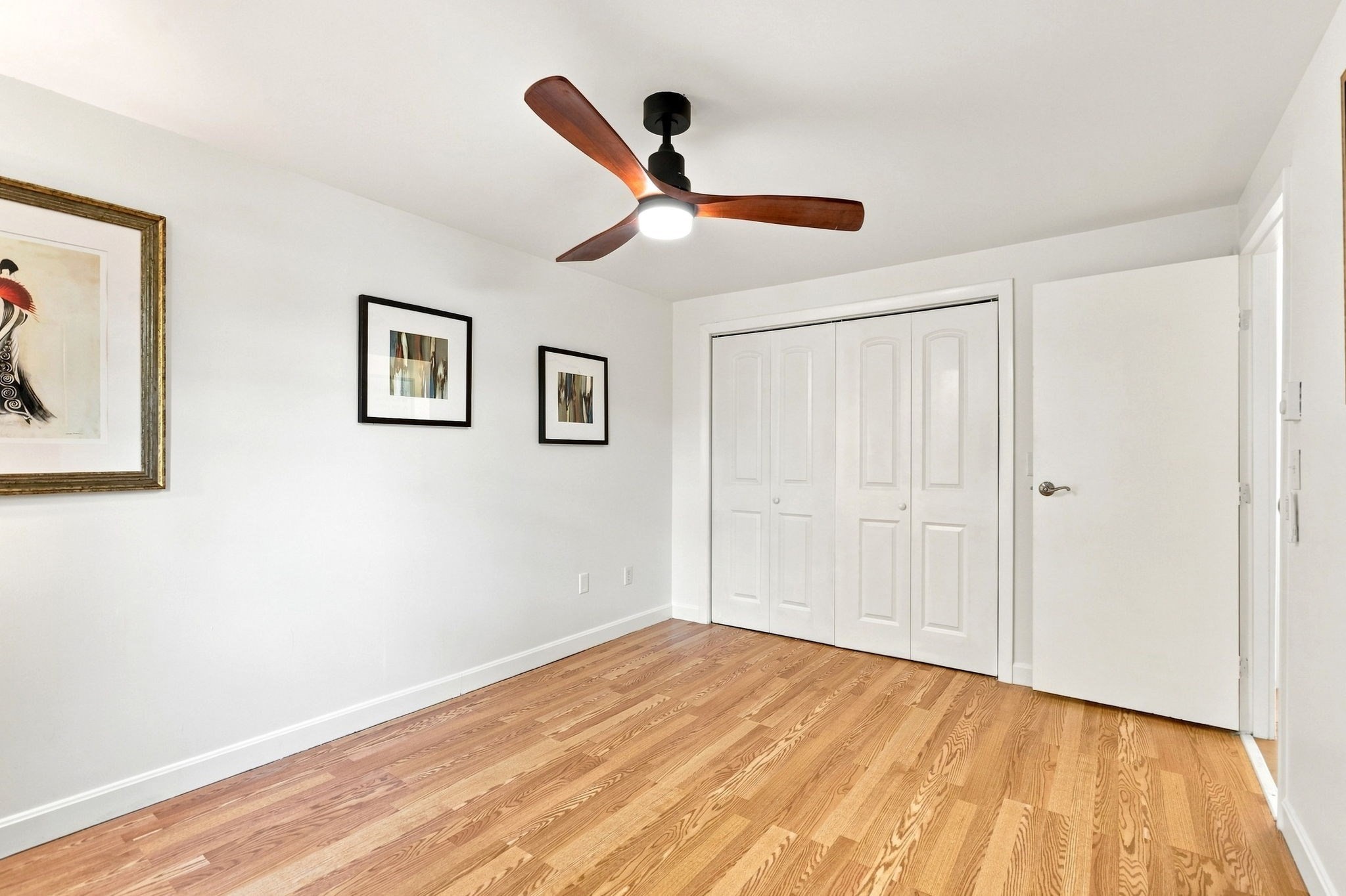 10 Freeman St # 2 Property Photo 16