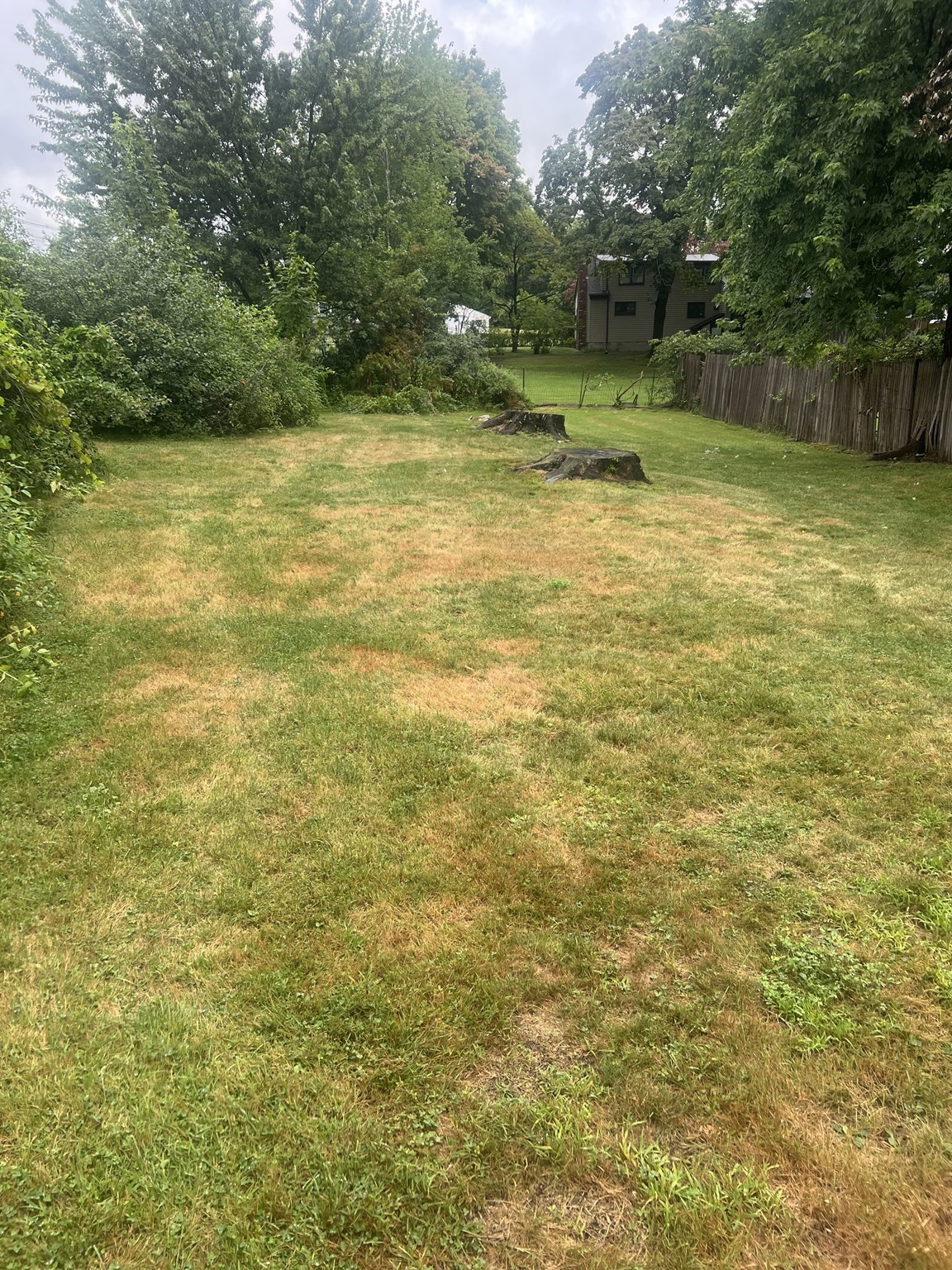 33 Dewey Property Photo 2