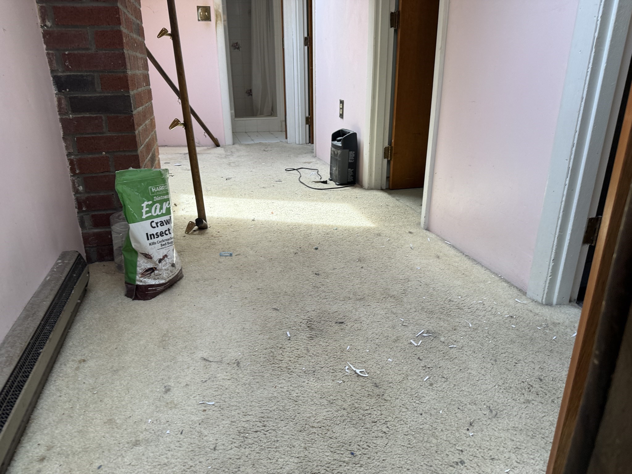 63 Suomi Rd Property Photo 19