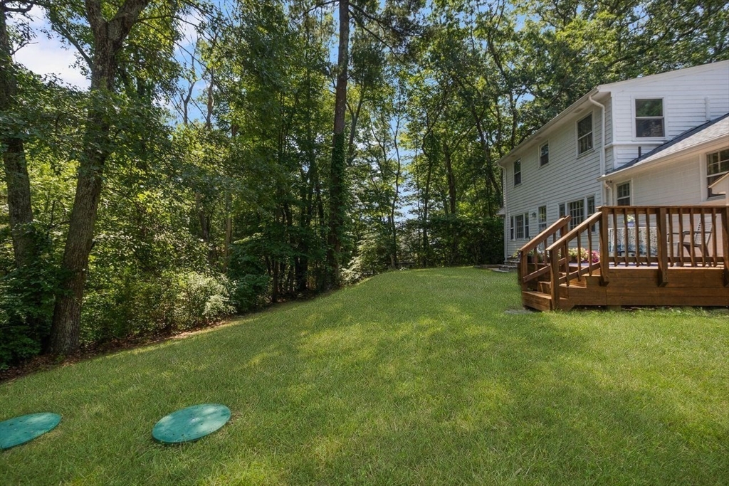 15 Williams Road Property Photo 33