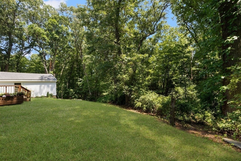 15 Williams Road Property Photo 36