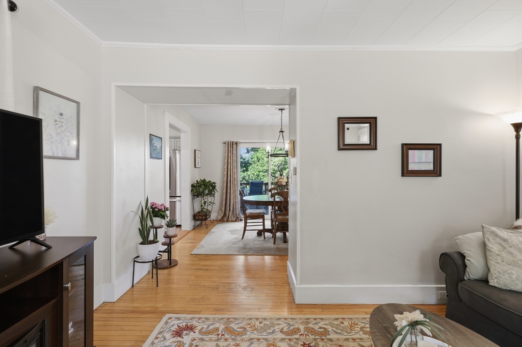 12 Elm Street Property Photo 6