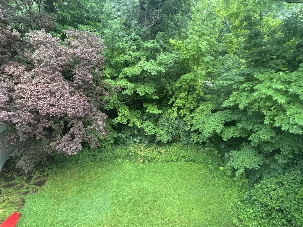 100 Dana Property Photo 38