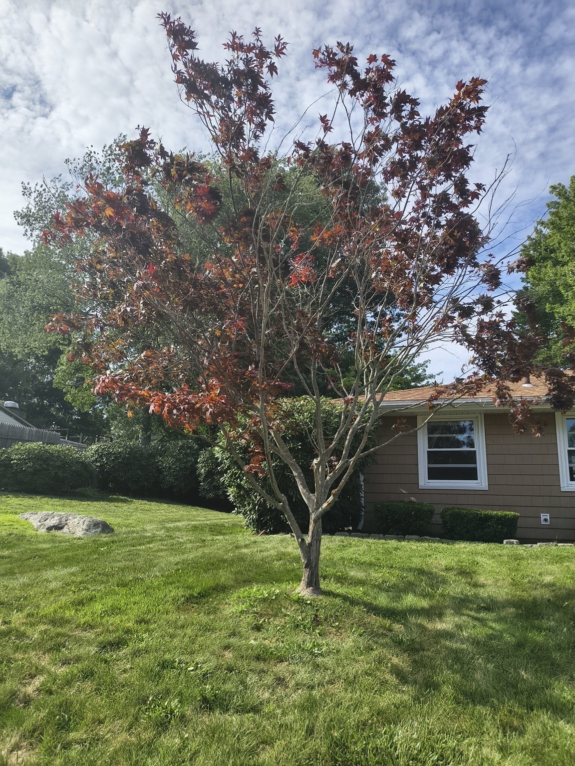 28 Delmar Road Property Photo 6