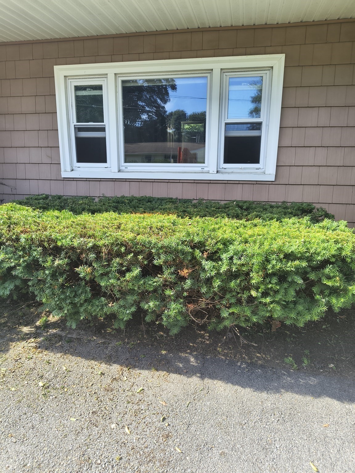 28 Delmar Road Property Photo 7