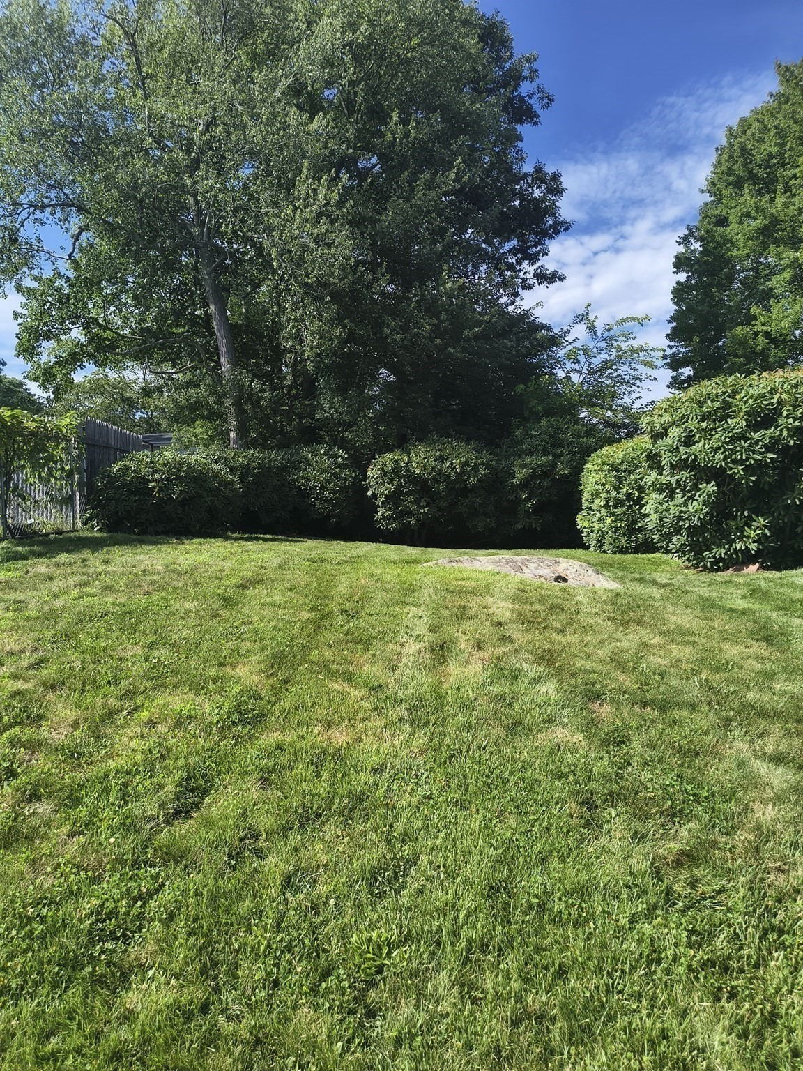 28 Delmar Road Property Photo 36