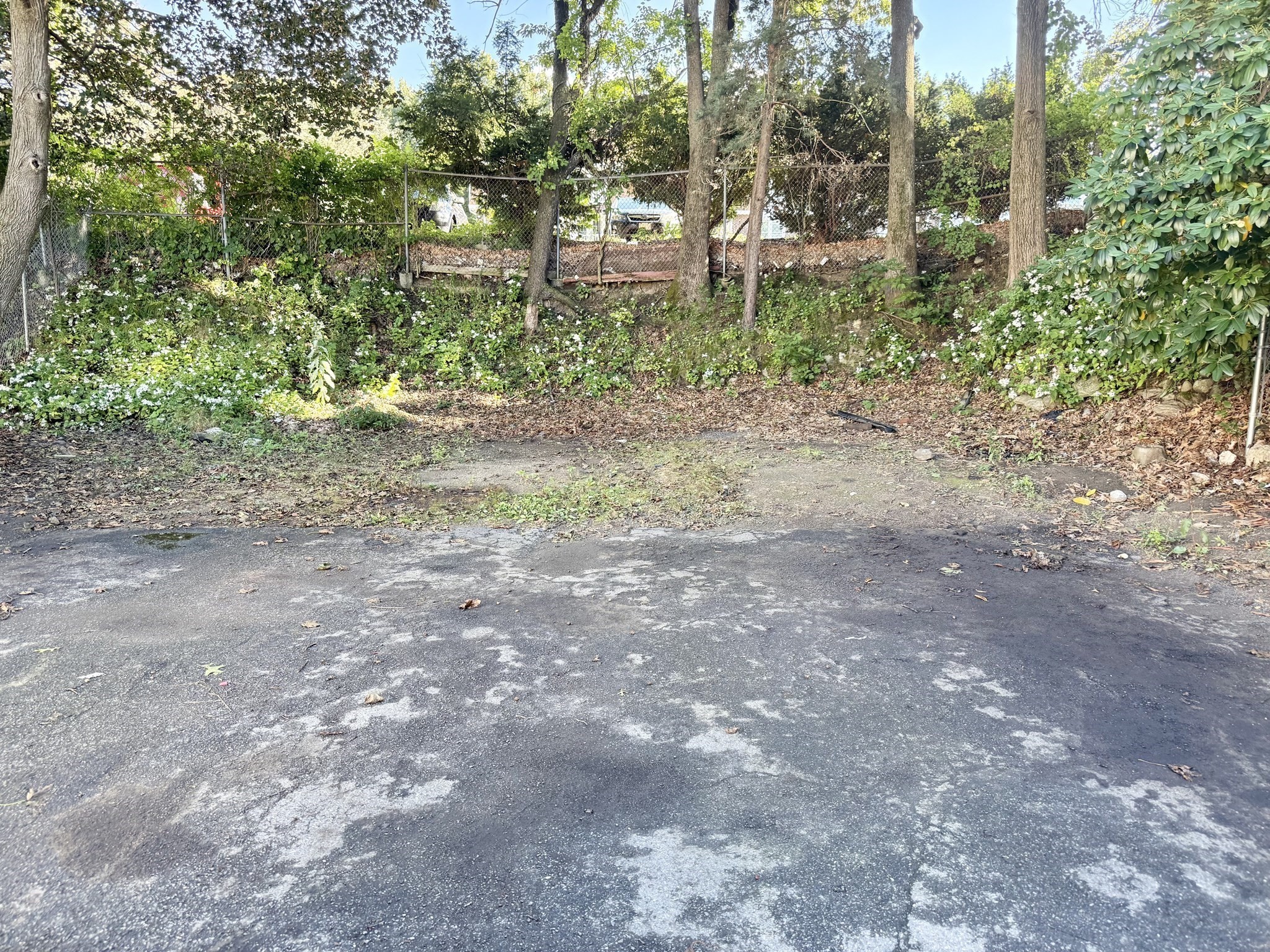 161 Plymouth St Property Photo 25