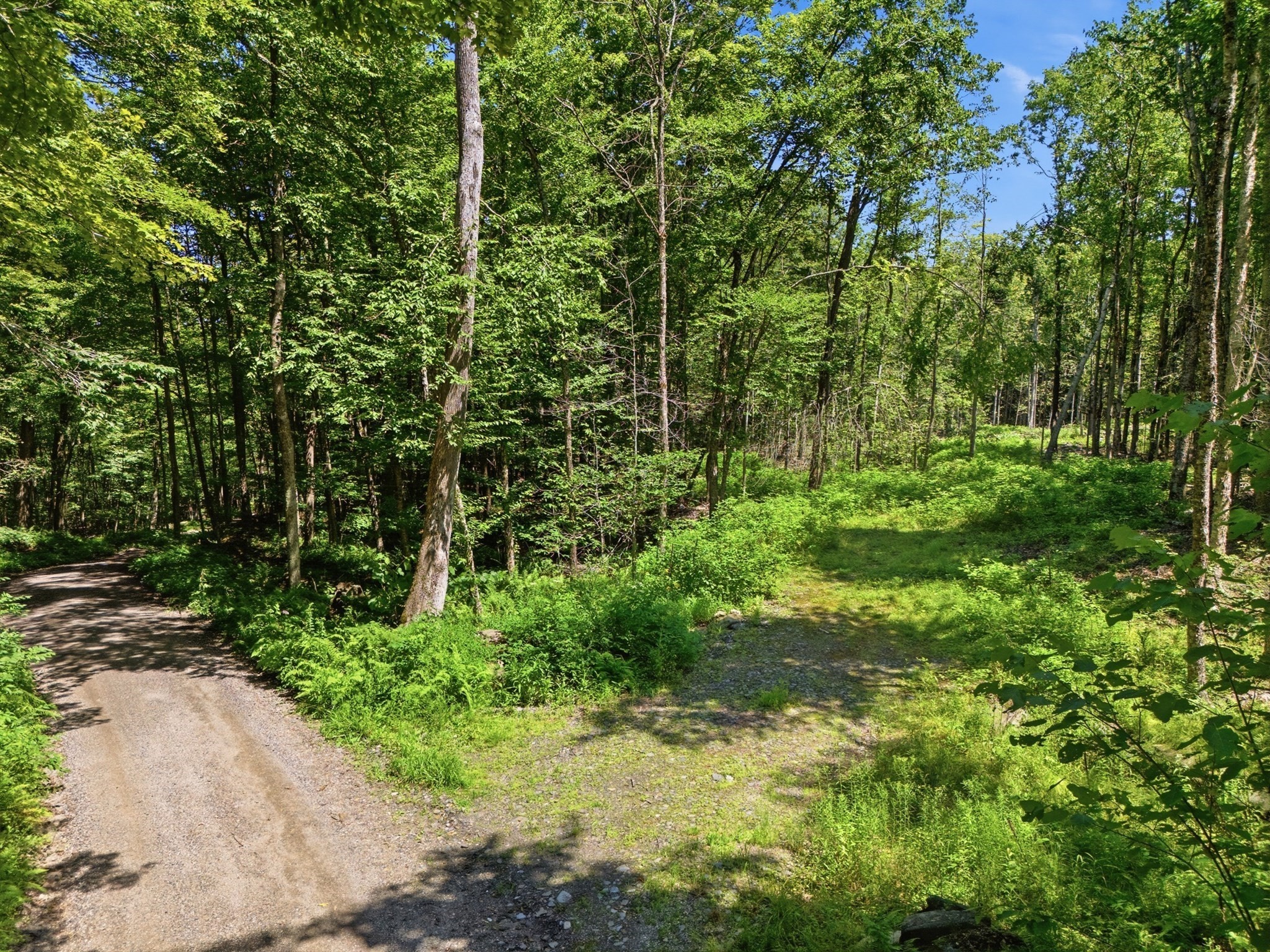 Lot 00 Thayer Hill Road Property Photo 2