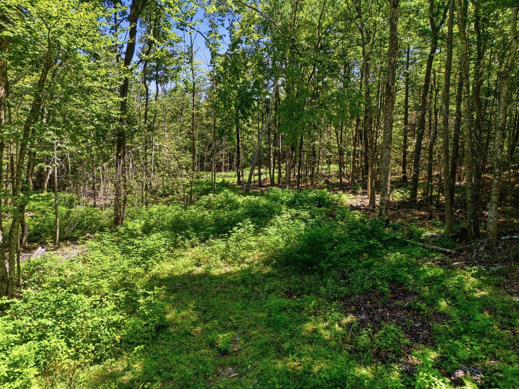 Lot 00 Thayer Hill Road Property Photo 3