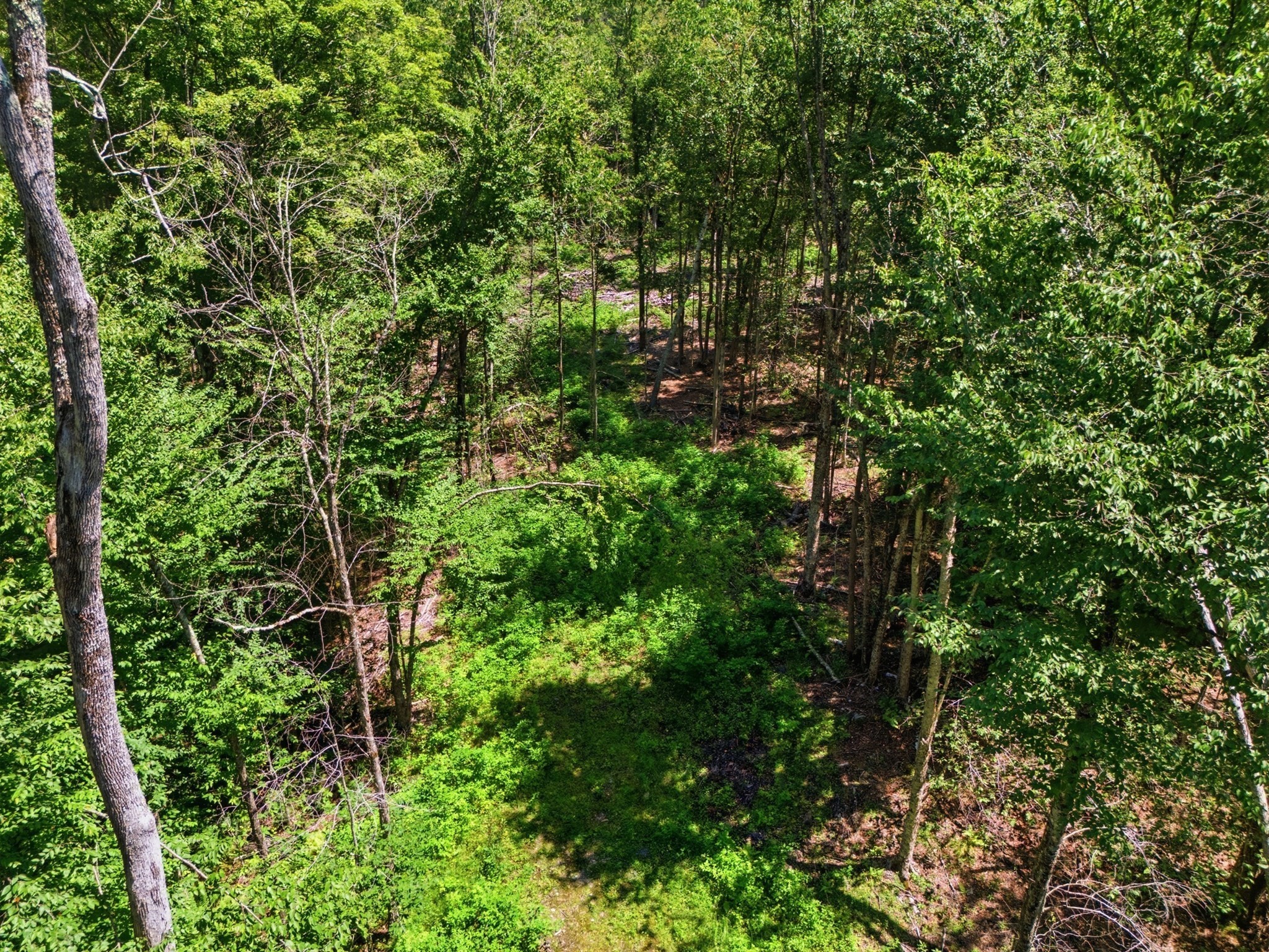 Lot 00 Thayer Hill Road Property Photo 4