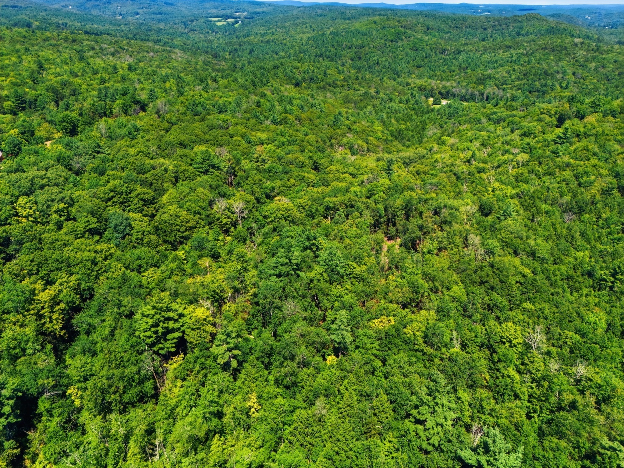 Lot 00 Thayer Hill Road Property Photo 10
