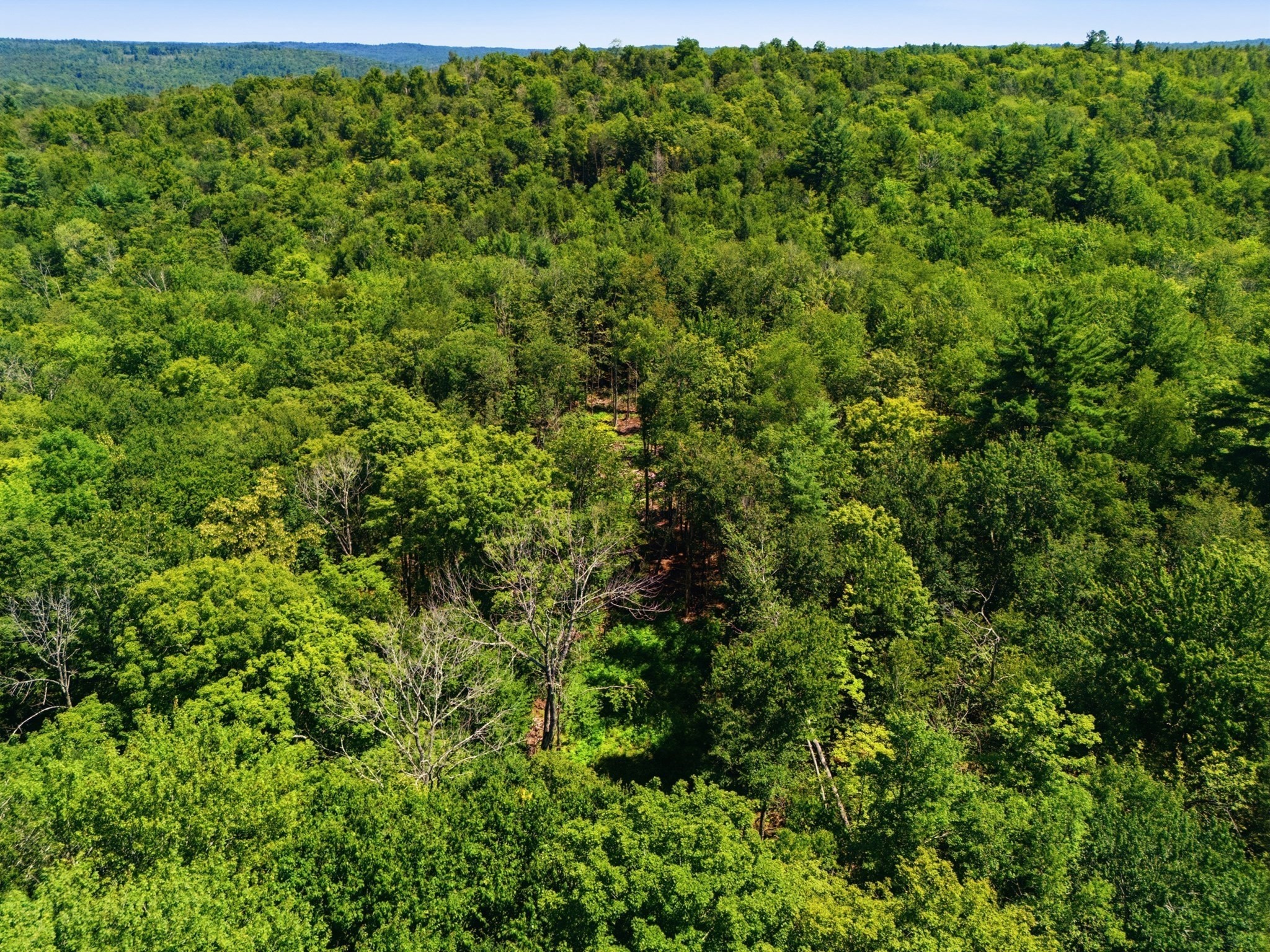 Lot 00 Thayer Hill Road Property Photo 11
