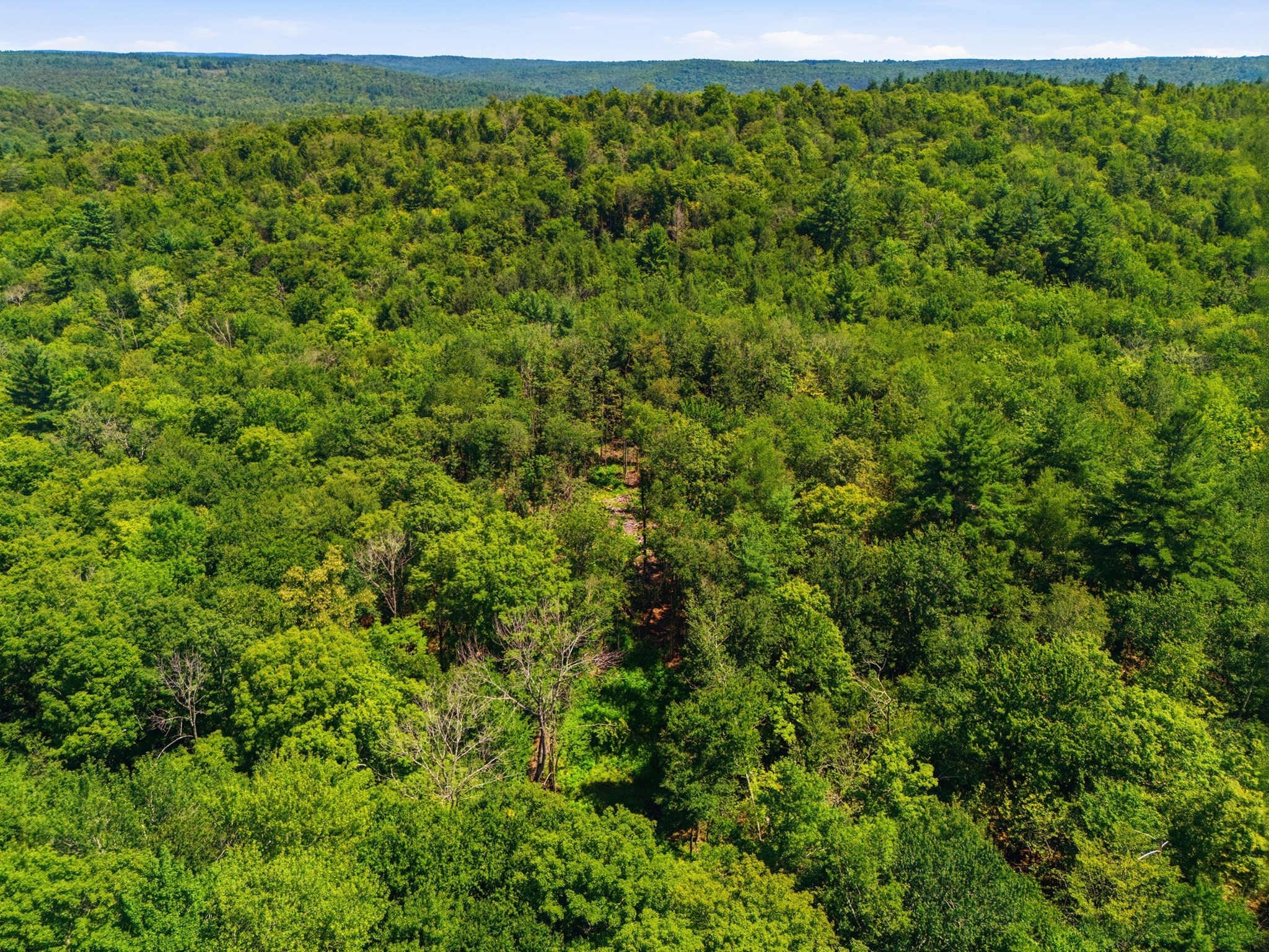 Lot 00 Thayer Hill Road Property Photo 14