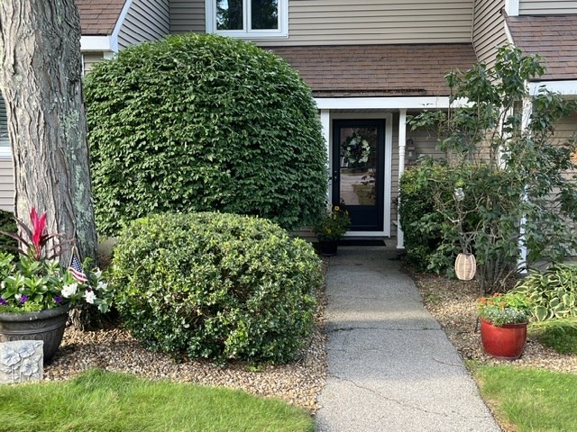 68 Pleasant St # 31 Property Photo 1