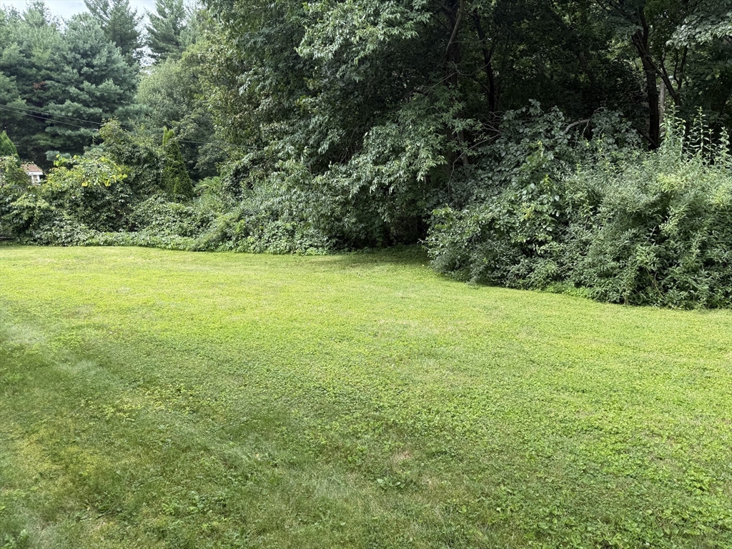 44 Zenith Drive Property Photo 24