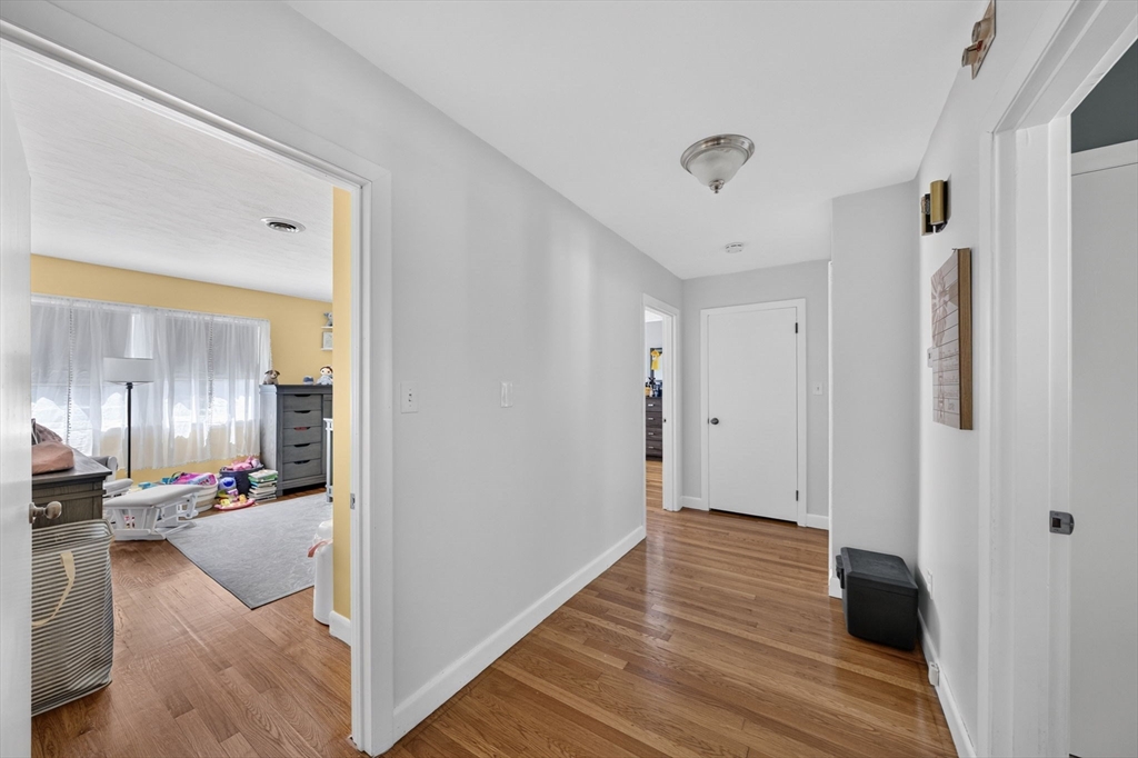 84 Evans Street Property Photo 11