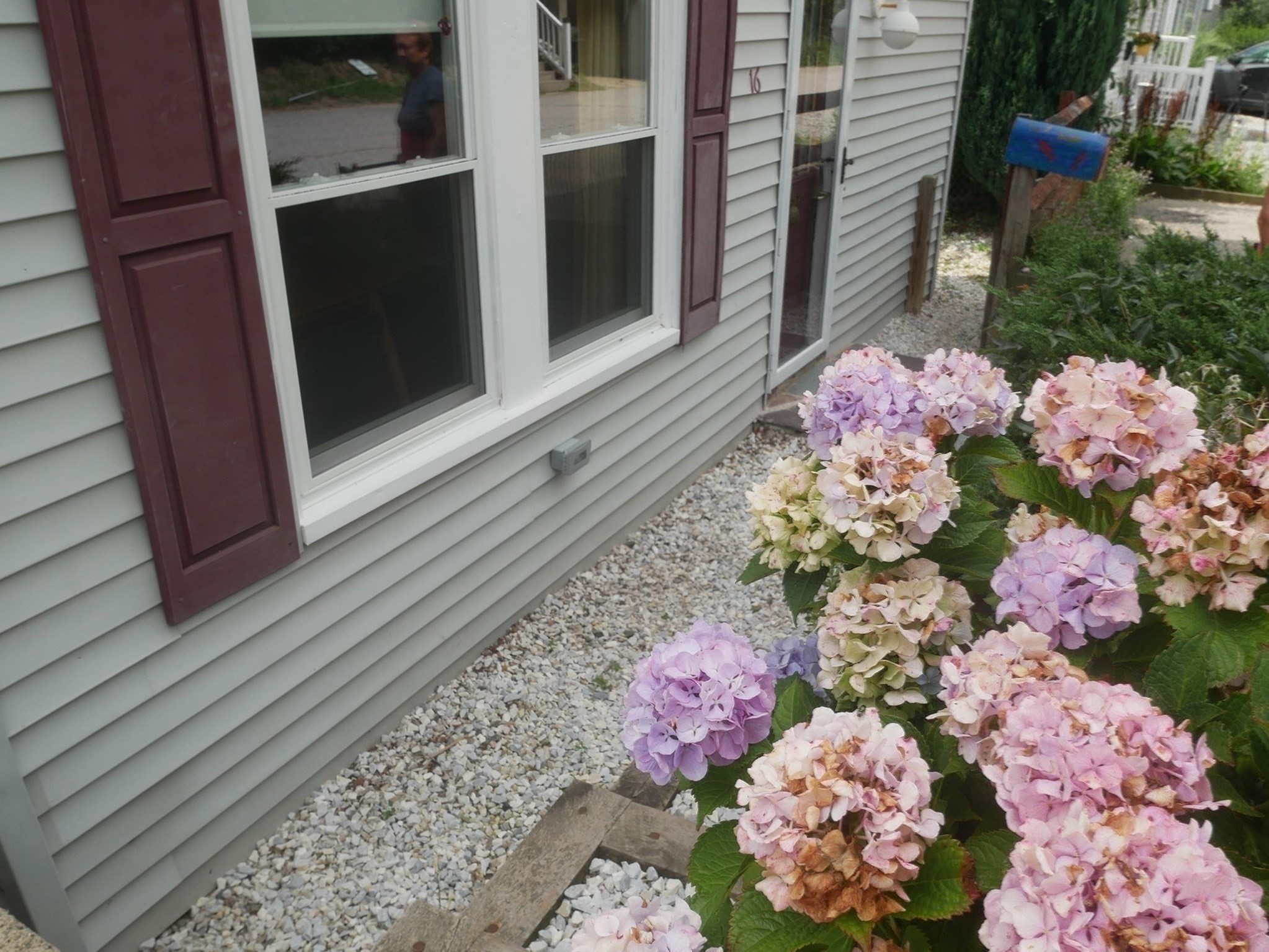 16 Hillside Rd Property Photo 38