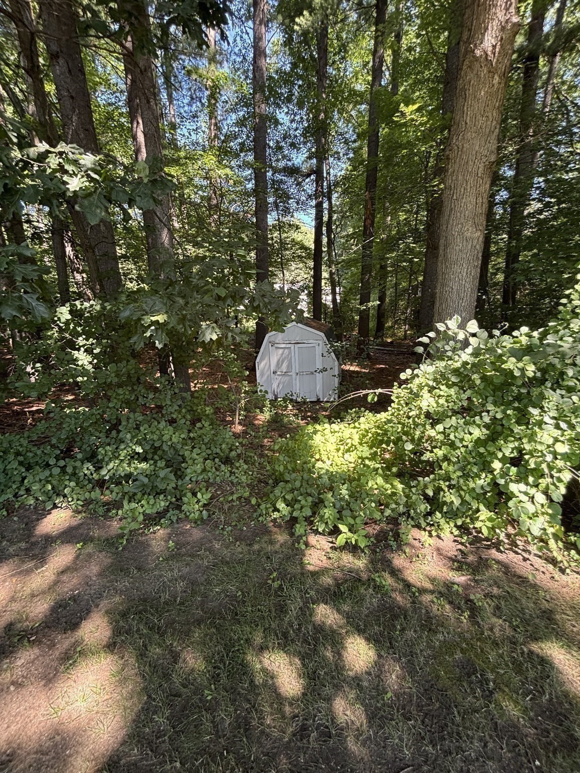 47 Eaton Rd Property Photo 28