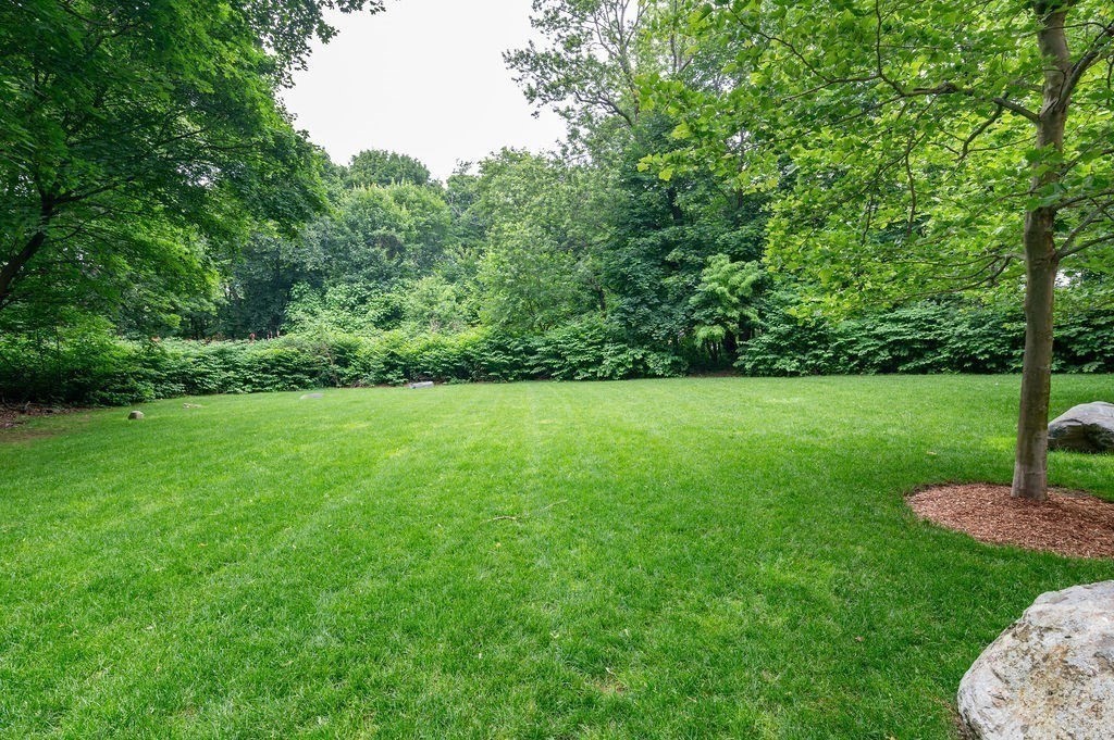 999 Hancock Street # 209 Property Photo 23