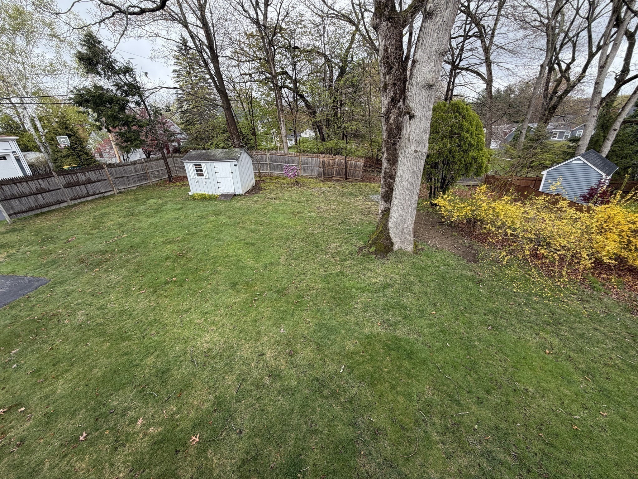 114 Parish Road Property Photo 27